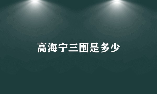 高海宁三围是多少