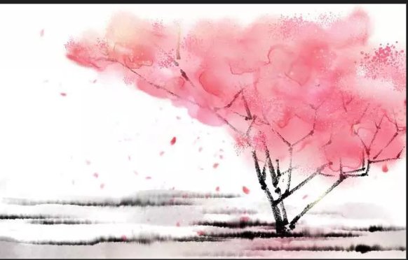 闲花淡淡春什么梗