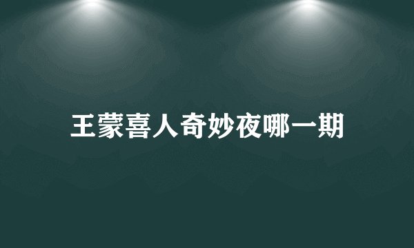 王蒙喜人奇妙夜哪一期