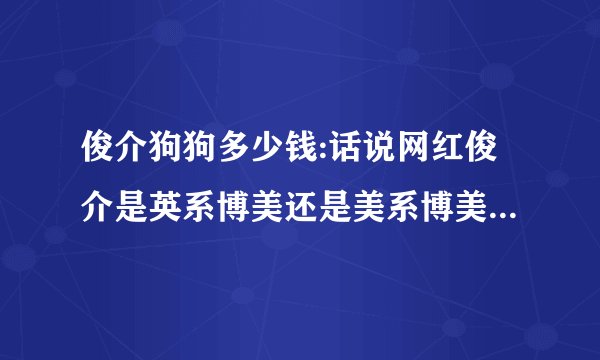 俊介狗狗多少钱:话说网红俊介是英系博美还是美系博美还是哈多利球体博美U？
