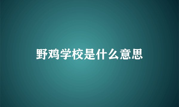 野鸡学校是什么意思