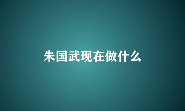朱国武现在做什么