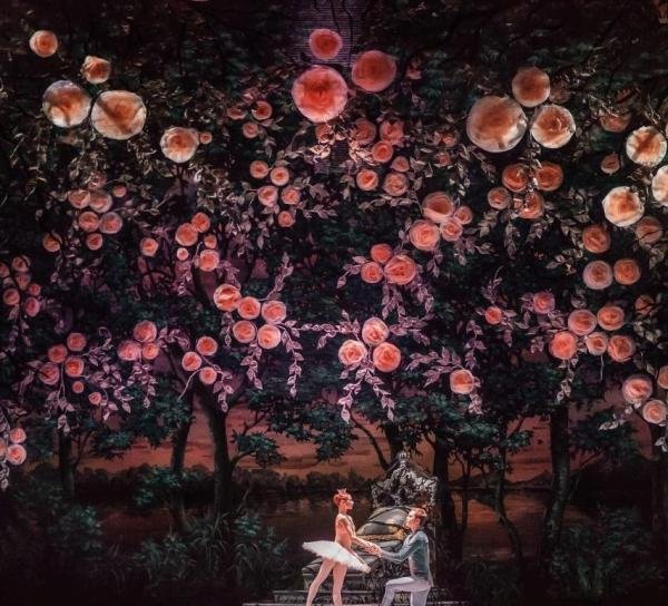 鉴赏 | 古典芭蕾巅峰之作《睡美人》— 共赴一场奢华皇室婚礼