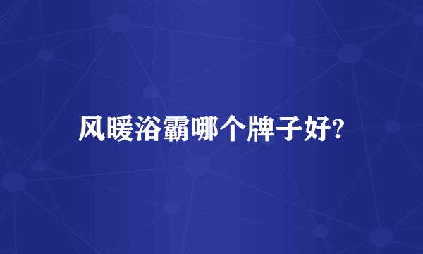 风暖浴霸哪个牌子好?
