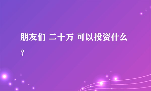 朋友们 二十万 可以投资什么？