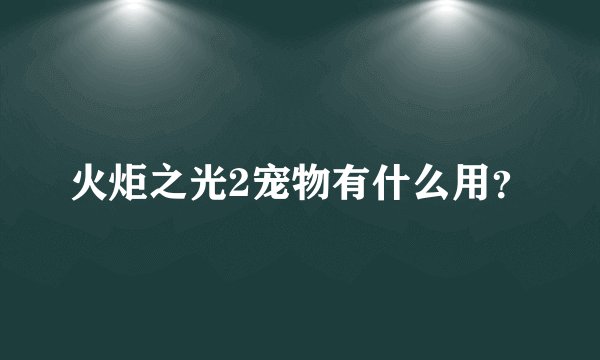 火炬之光2宠物有什么用？