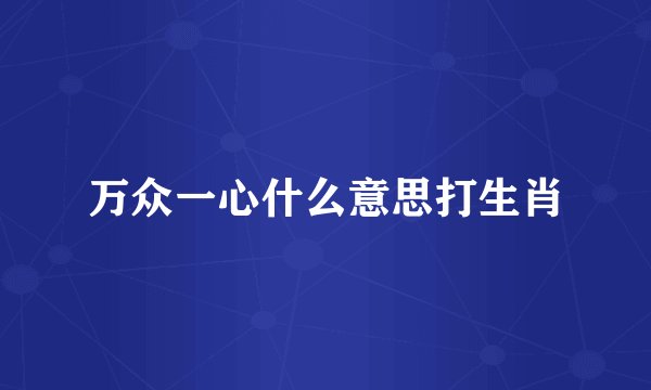 万众一心什么意思打生肖