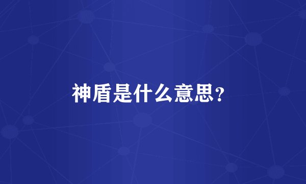 神盾是什么意思?
