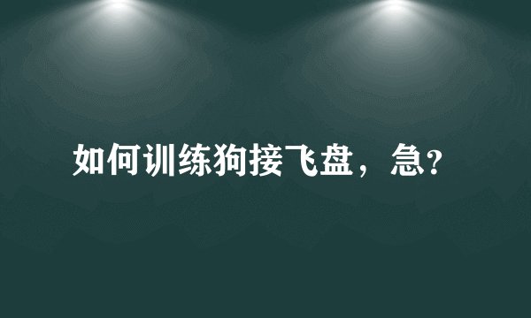 如何训练狗接飞盘，急？