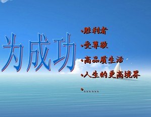 成功保险网的介绍