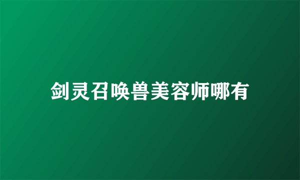 剑灵召唤兽美容师哪有