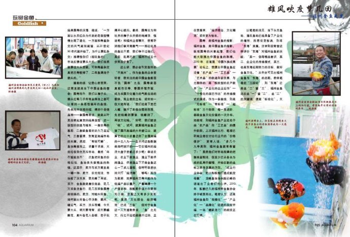 山村不了情的内容提要