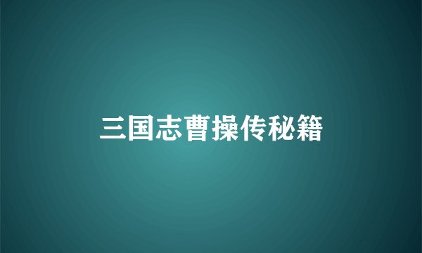 三国志曹操传秘籍