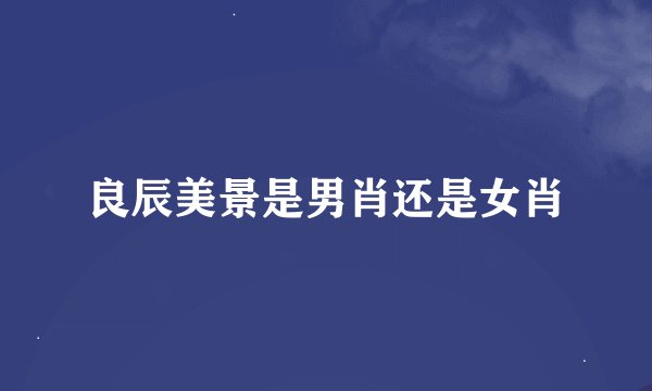 良辰美景是男肖还是女肖