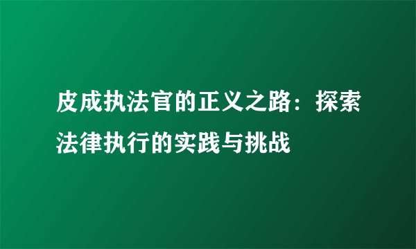 皮成执法官的正义之路：探索法律执行的实践与挑战