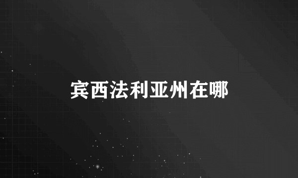 宾西法利亚州在哪