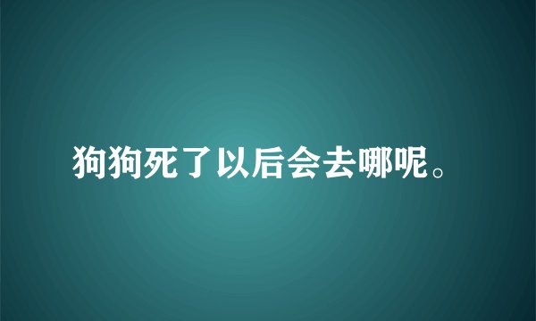 狗狗死了以后会去哪呢。