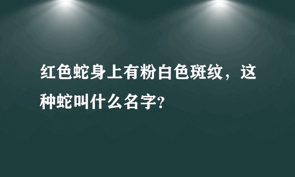 红色蛇身上有粉白色斑纹，这种蛇叫什么名字？