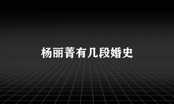 杨丽菁有几段婚史