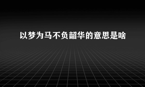 以梦为马不负韶华的意思是啥