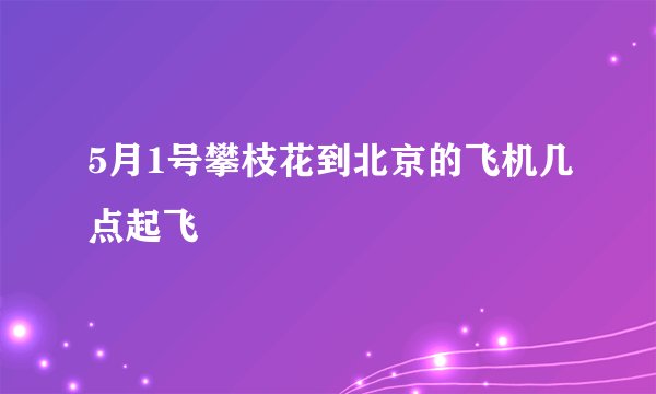 5月1号攀枝花到北京的飞机几点起飞