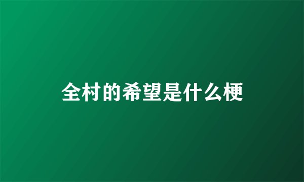 全村的希望是什么梗