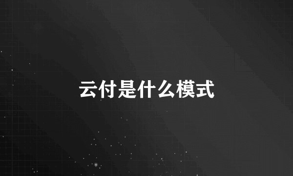 云付是什么模式
