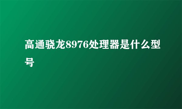 高通骁龙8976处理器是什么型号