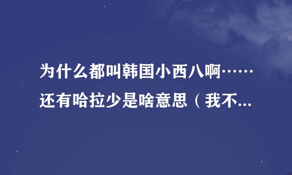 为什么都叫韩国小西八啊……还有哈拉少是啥意思（我不太懂，愿各位大佬帮忙解答一下，谢谢）?