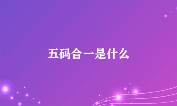 五码合一是什么