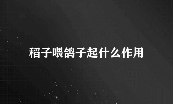 稻子喂鸽子起什么作用