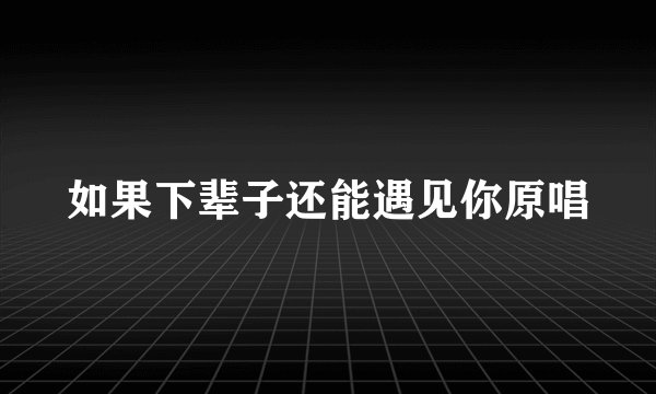 如果下辈子还能遇见你原唱