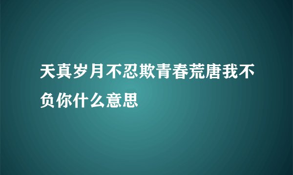 天真岁月不忍欺青春荒唐我不负你什么意思