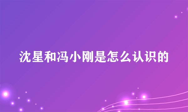 沈星和冯小刚是怎么认识的