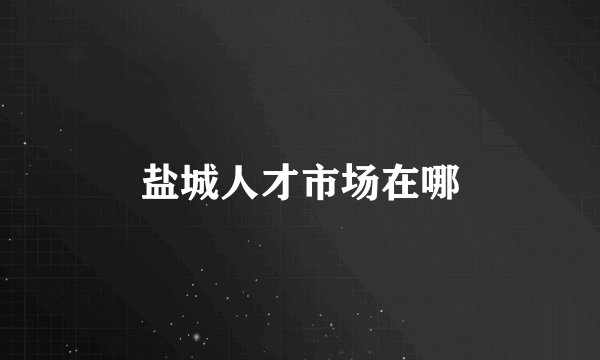 盐城人才市场在哪