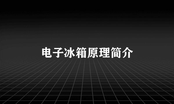 电子冰箱原理简介