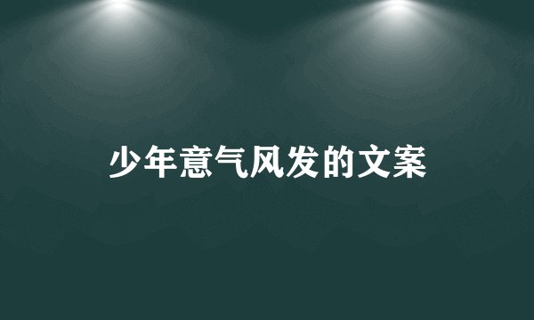 少年意气风发的文案