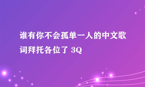 谁有你不会孤单一人的中文歌词拜托各位了 3Q