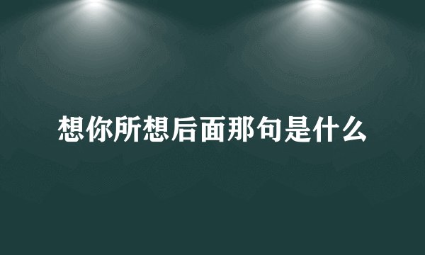想你所想后面那句是什么