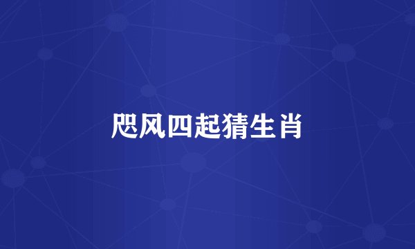咫风四起猜生肖