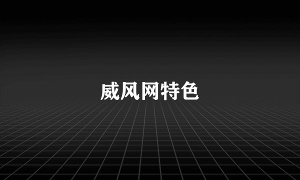 威风网特色