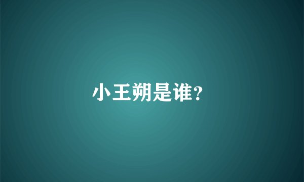 小王朔是谁？