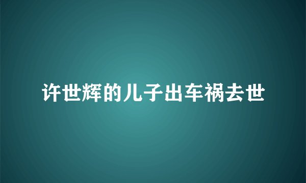 许世辉的儿子出车祸去世