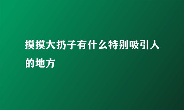 摸摸大扔子有什么特别吸引人的地方