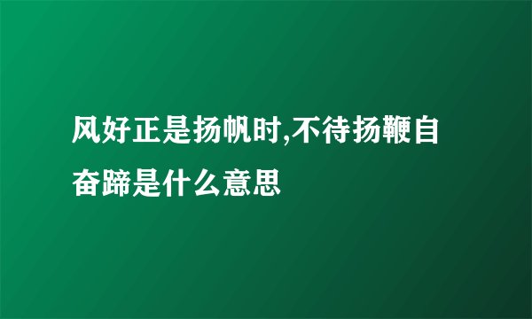 风好正是扬帆时,不待扬鞭自奋蹄是什么意思