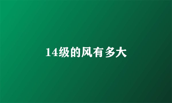 14级的风有多大