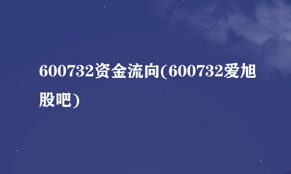 600732资金流向(600732爱旭股吧)