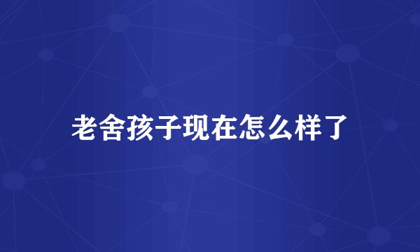 老舍孩子现在怎么样了