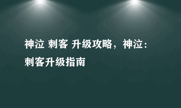 神泣 刺客 升级攻略，神泣：刺客升级指南