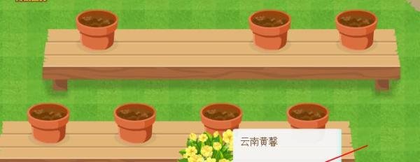 QQ空间新版花藤怎么养花快,养花少用一天的方法